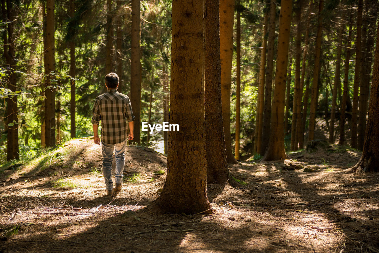 REAR VIEW OF MAN STANDING IN FOREST