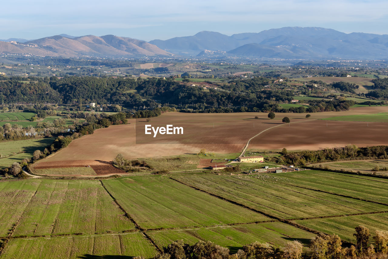 HIGH ANGLE VIEW OF AGRICULTURAL LANDSCAPE