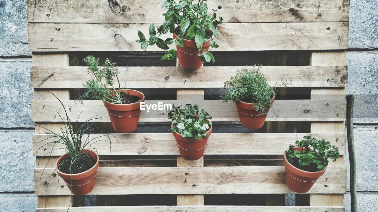 Potted plants on wooden grate