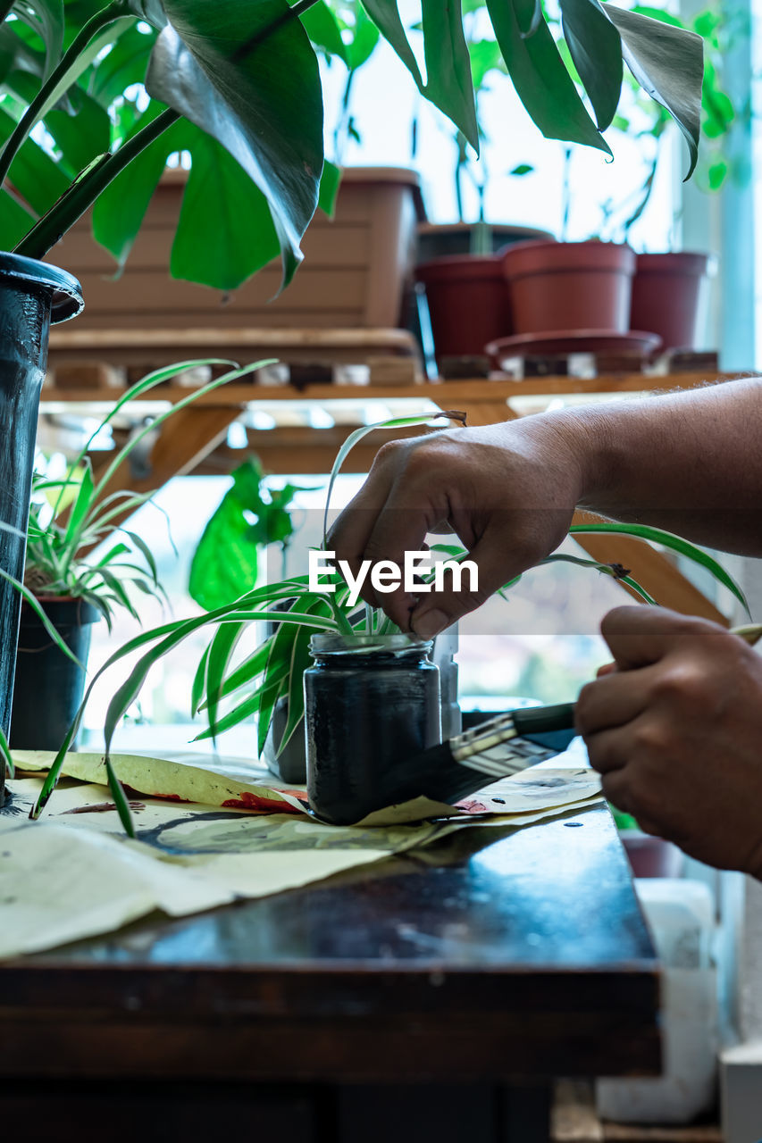 Painting a recycled flower pot in black at home. diy makeover indoor plants project.