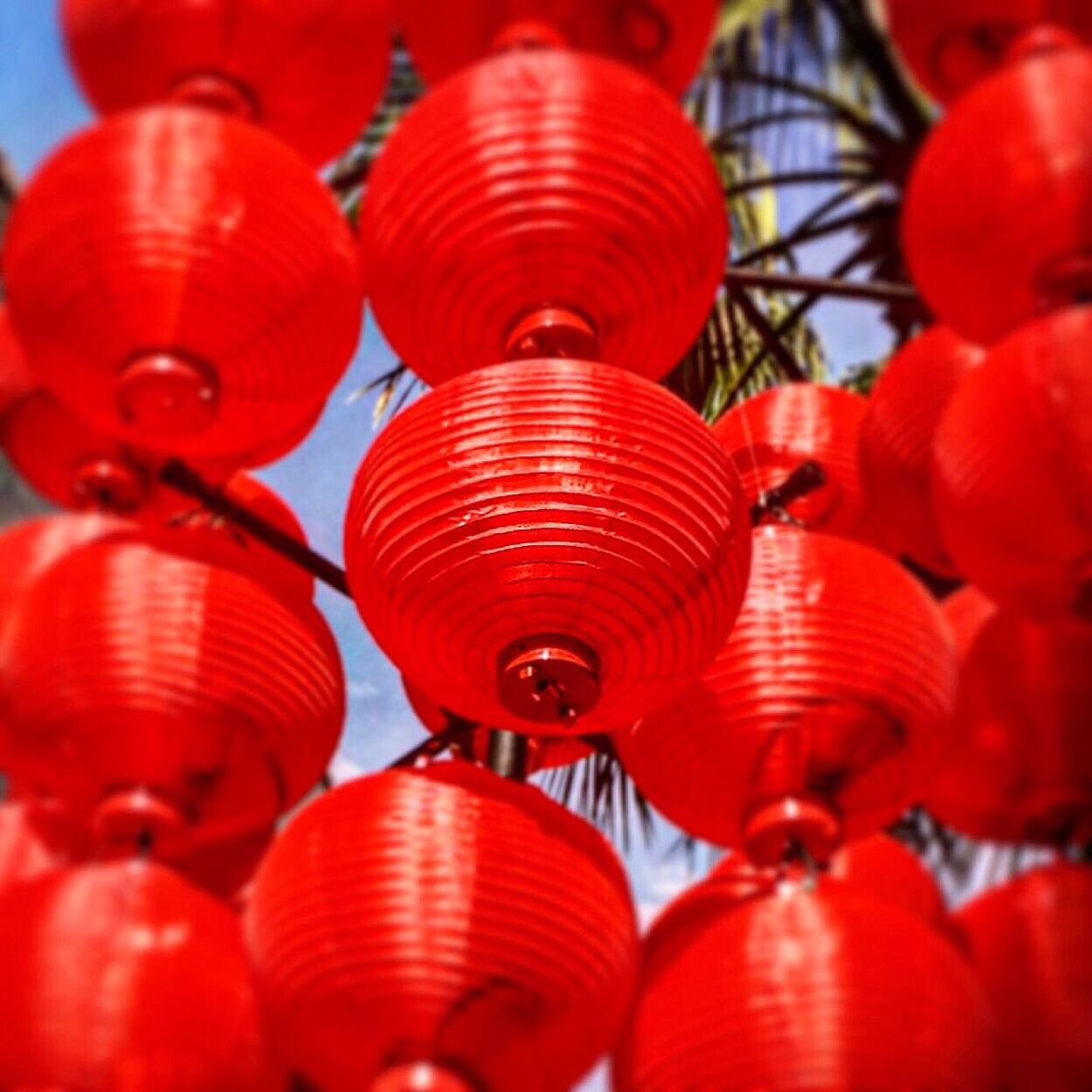 Low angle view of red lanterns hanging against sky