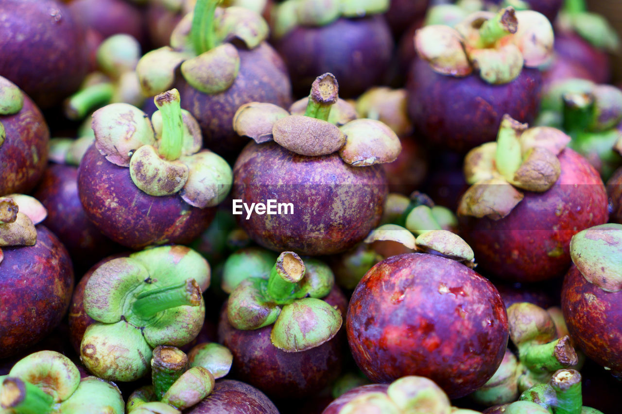 A heap of fresh purple mangosteen, is a tropical evergreen tree, it grows mainly in southeast asia