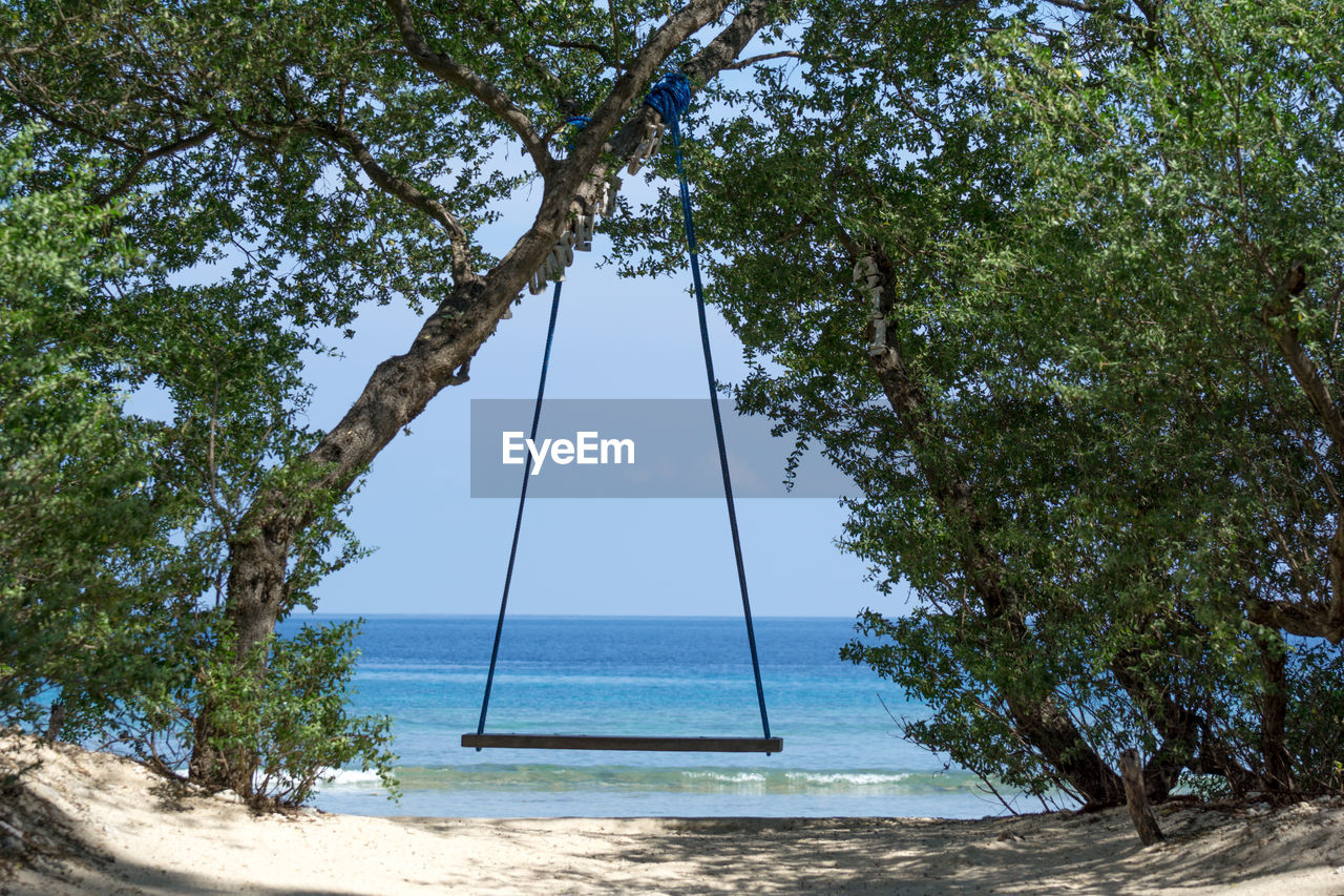 Trees on beach against clear sky