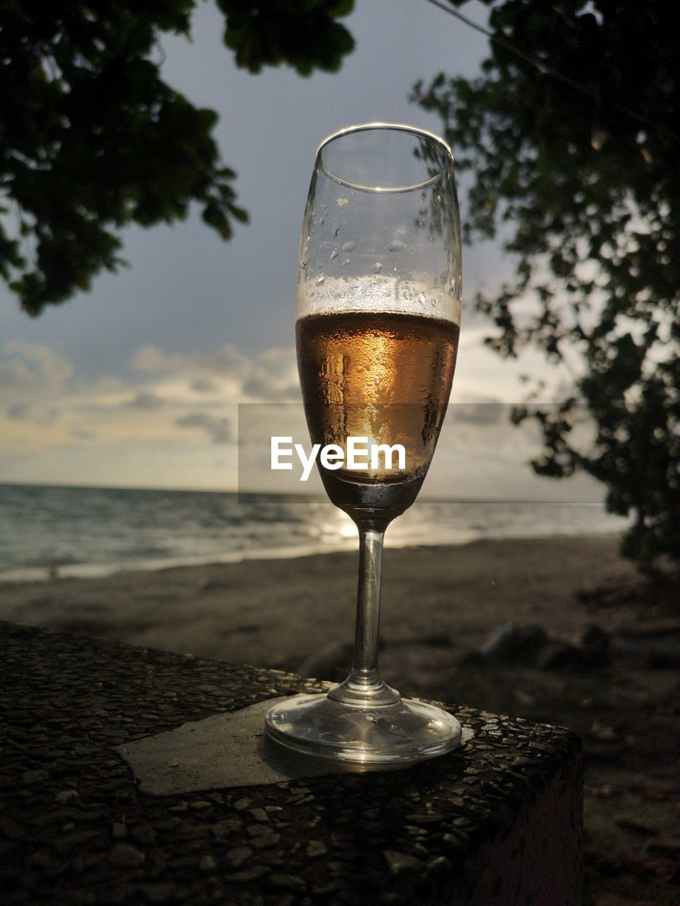 alcohol, glass, refreshment, drink, sky, food and drink, water, nature, drinking glass, sunset, wine, tree, alcoholic beverage, household equipment, land, wine glass, reflection, sea, no people, beach, focus on foreground, outdoors, plant, dusk, freshness, light, close-up, table, champagne, single object, champagne flute, transparent, cloud
