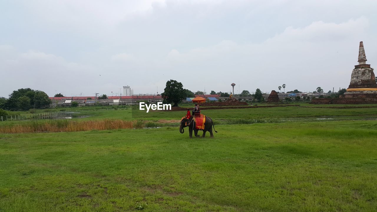 SIDE VIEW OF MEN ON FIELD