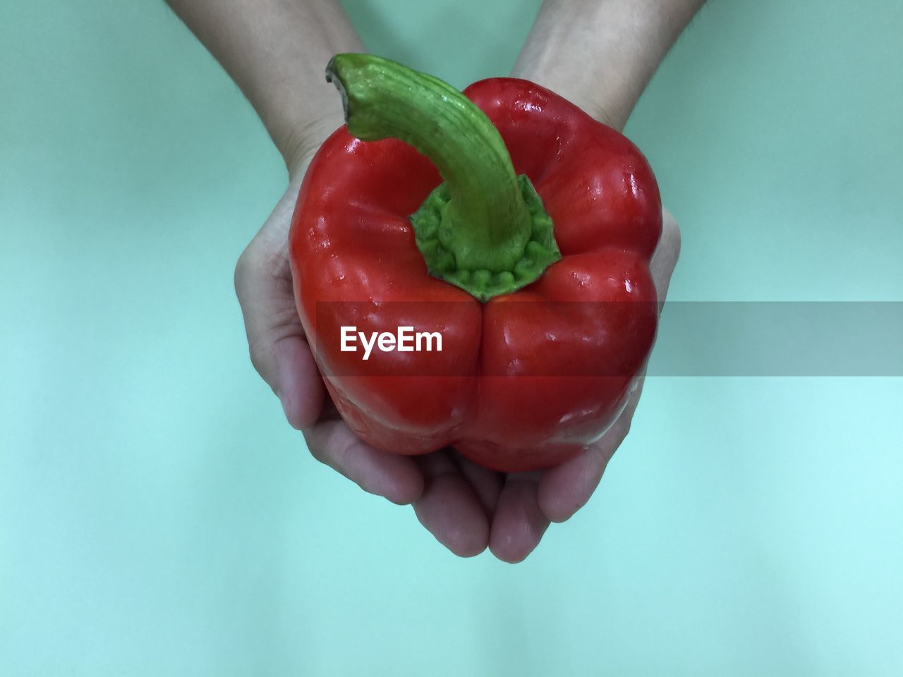 Close-up of hand holding red bell peppers