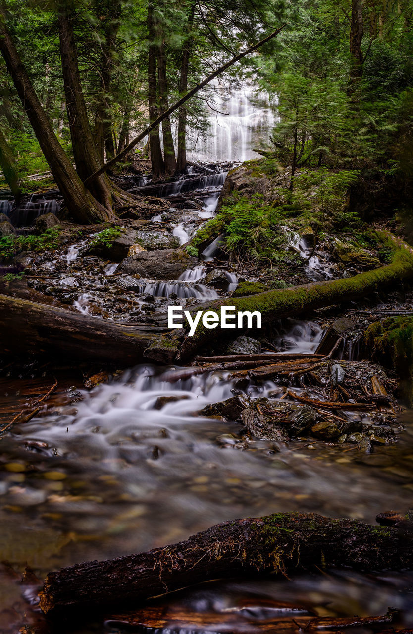 SCENIC VIEW OF WATERFALL IN FOREST