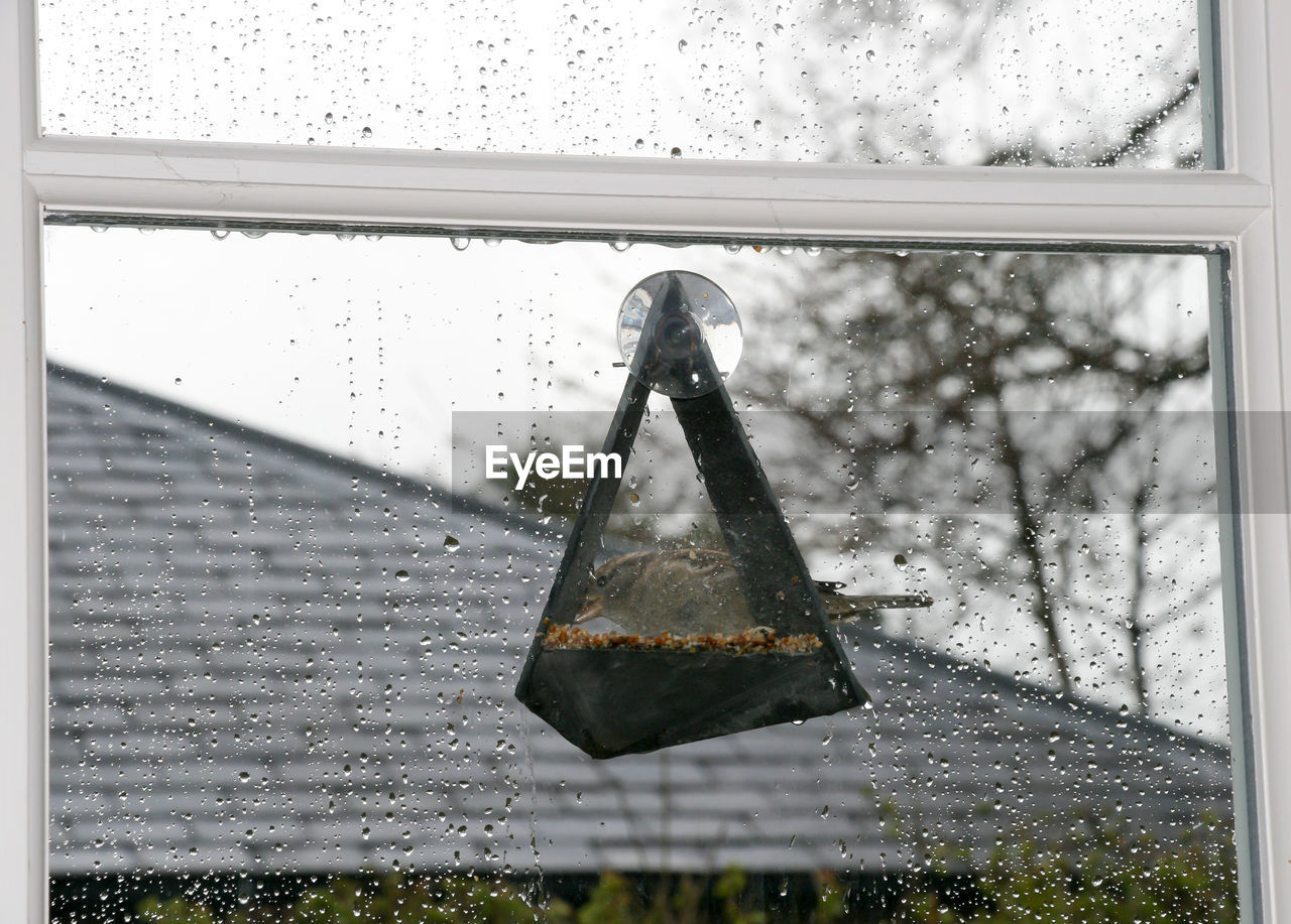 CLOSE-UP OF WATER DROPS ON WALL