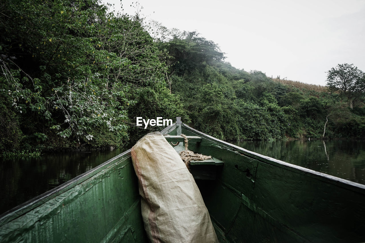 Scenic view of river amidst trees against sky