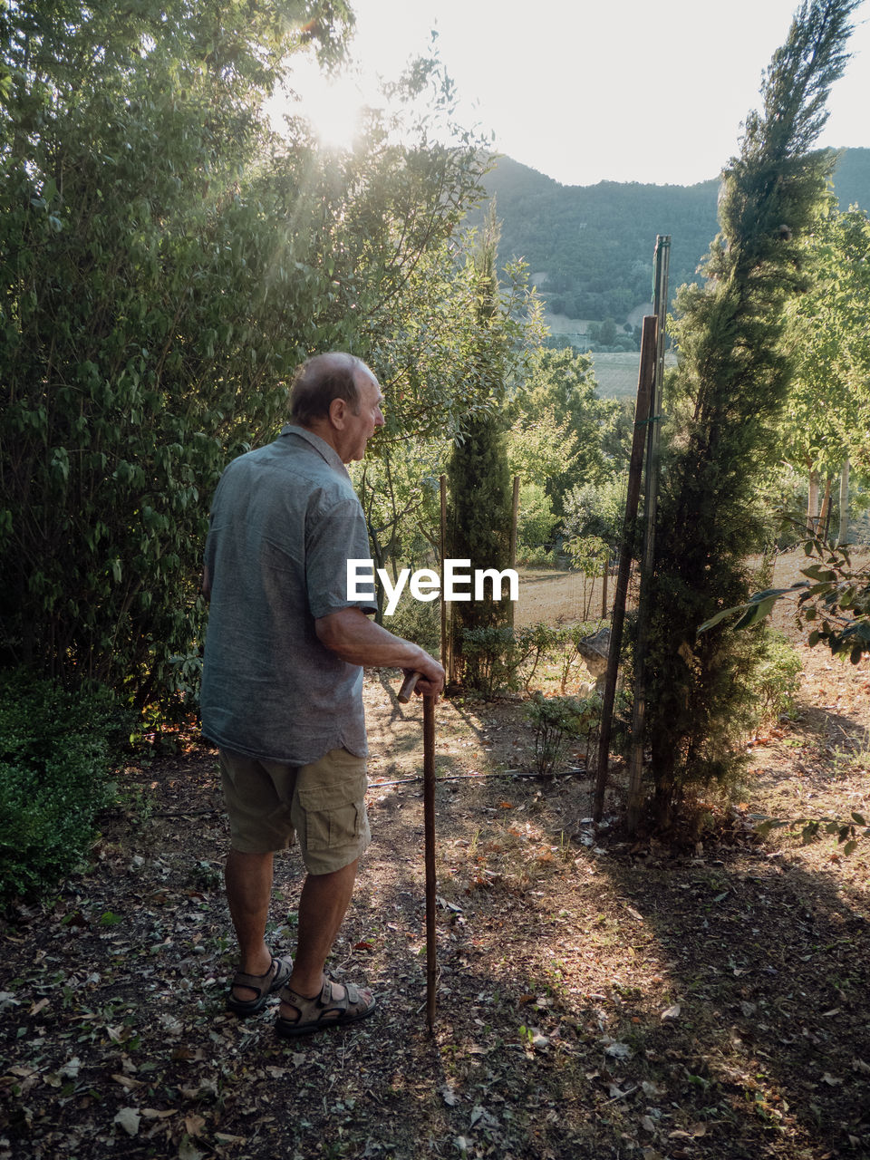 rear view of man standing on field