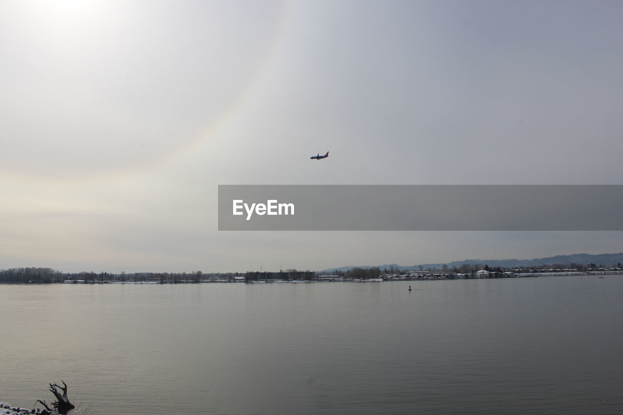 BIRD FLYING OVER LAKE