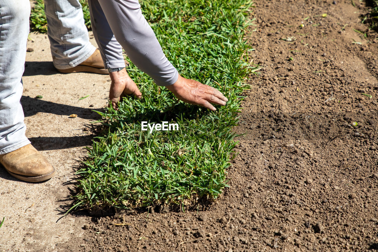 Low section of man working on field