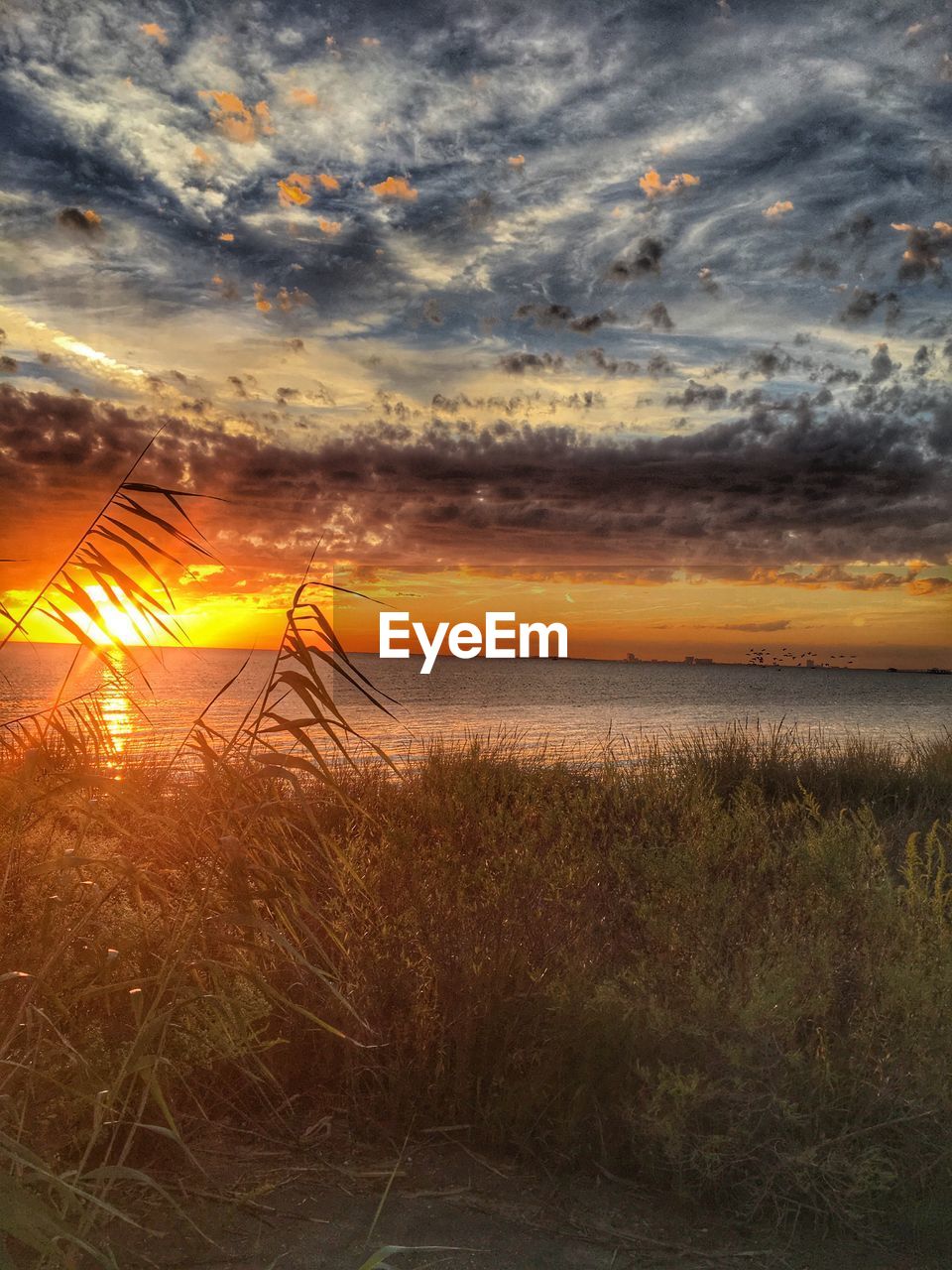 VIEW OF SEA DURING SUNSET