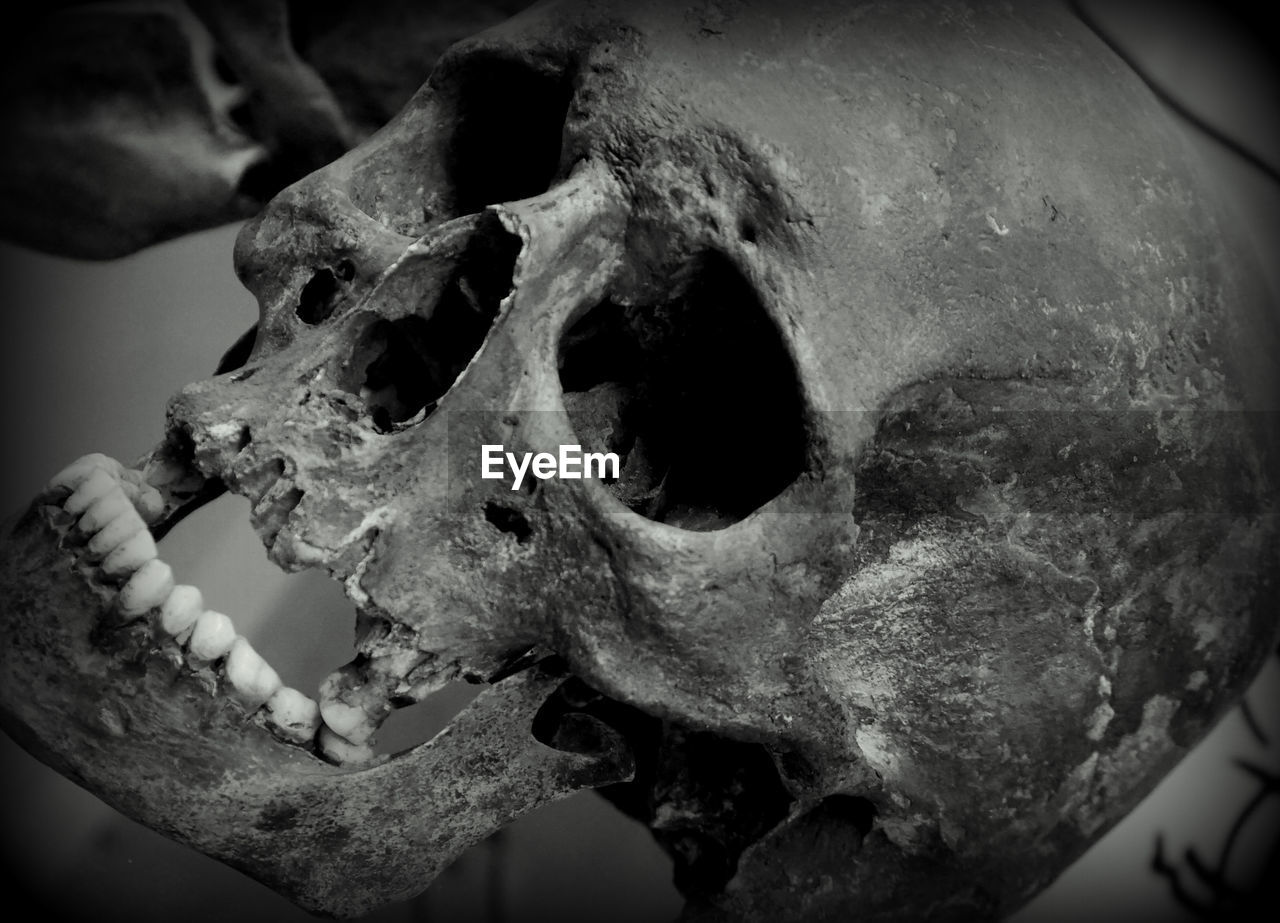 CLOSE-UP OF HUMAN SKULL AGAINST ABANDONED WALL