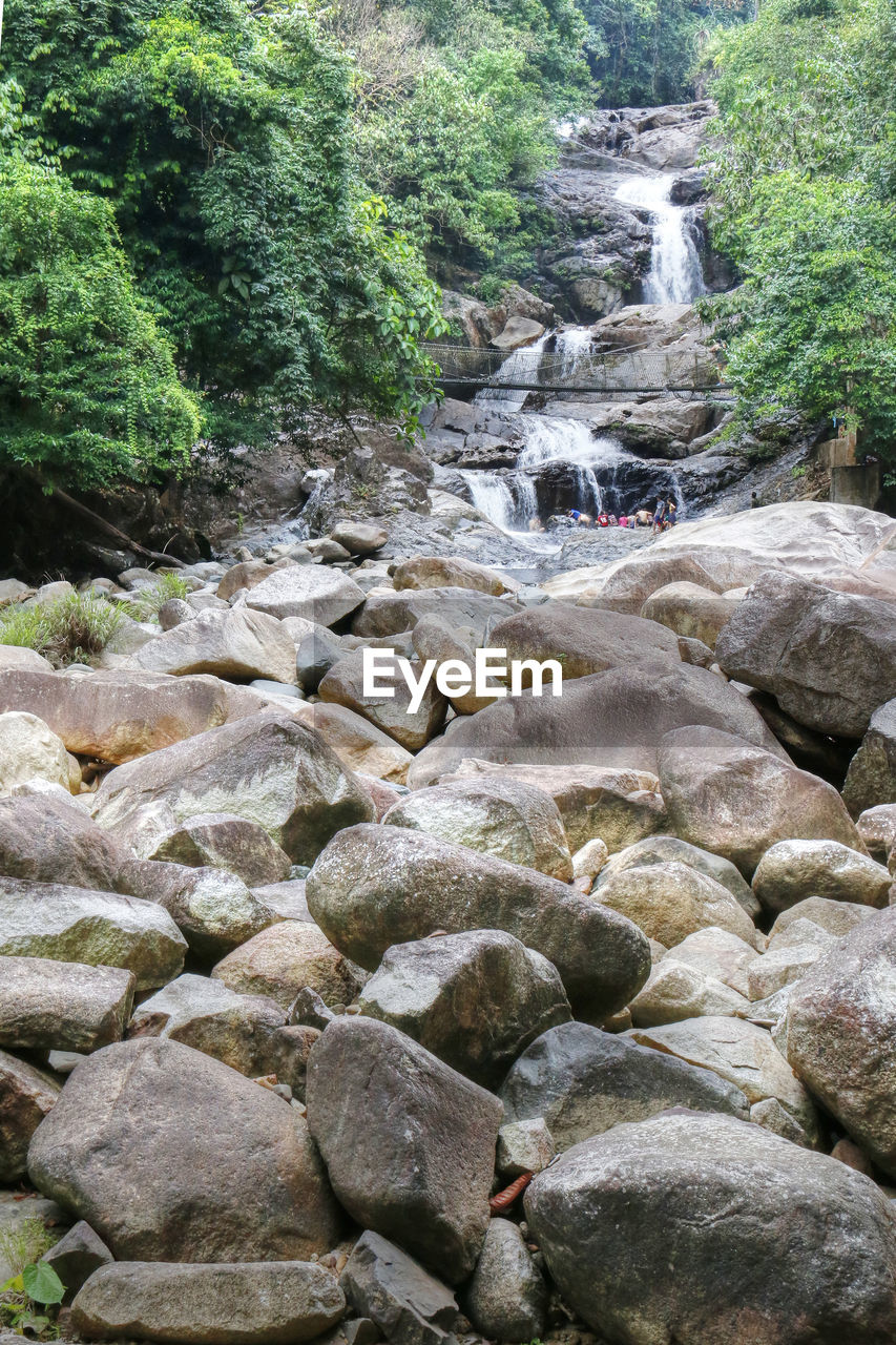 WATER FLOWING THROUGH TREES