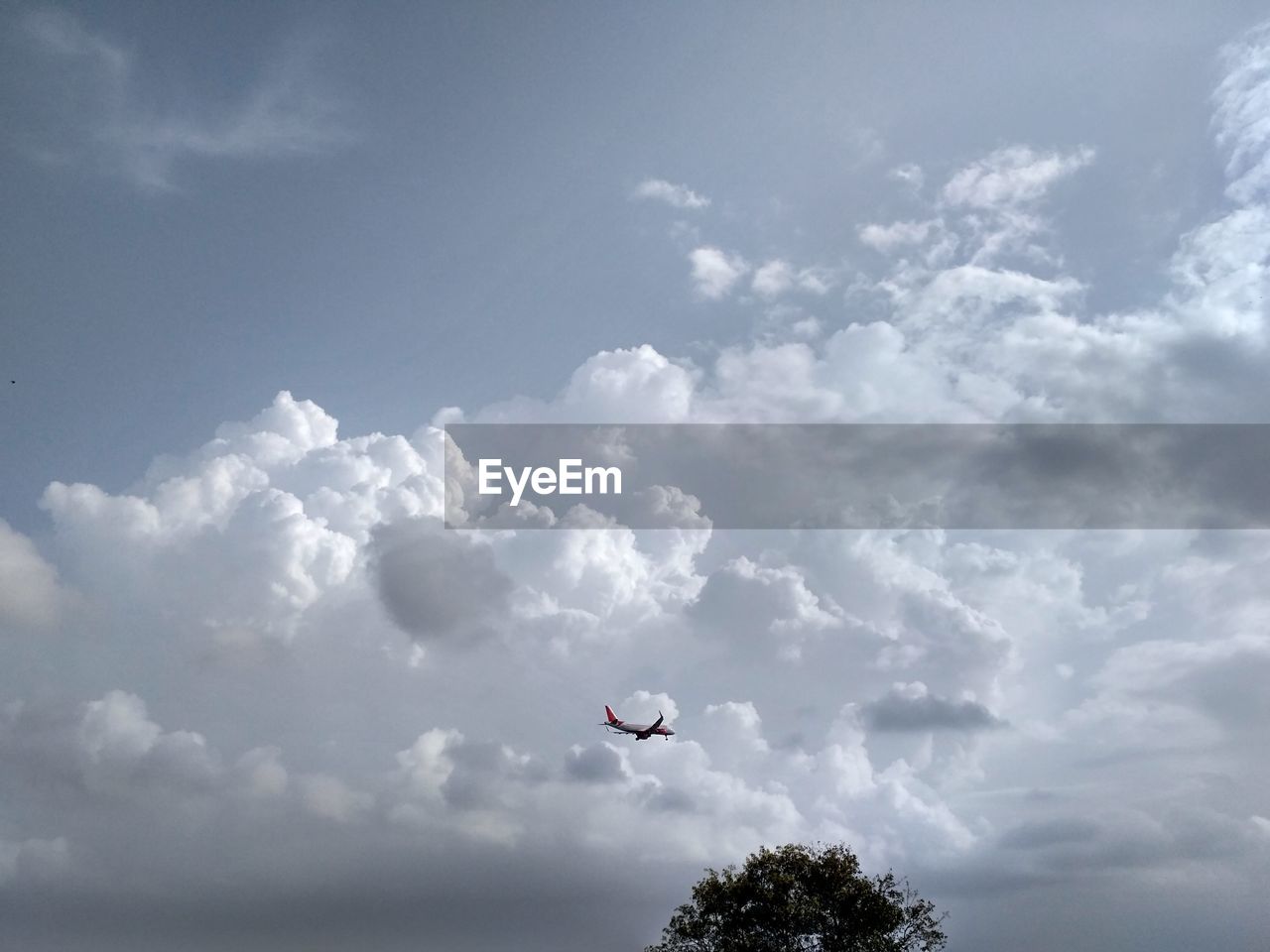 LOW ANGLE VIEW OF SKY AND TREES AGAINST CLOUDY