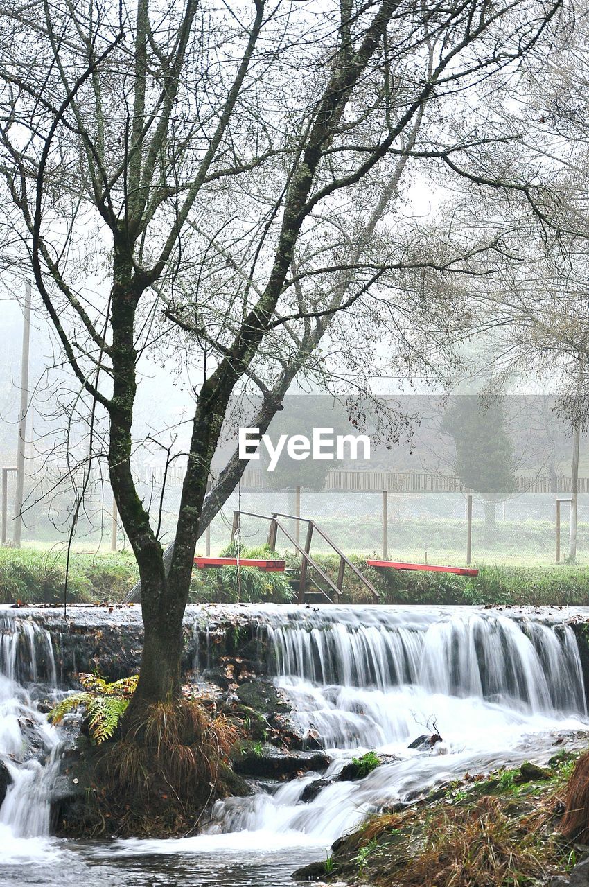 SCENIC VIEW OF RIVER FLOWING THROUGH FOREST