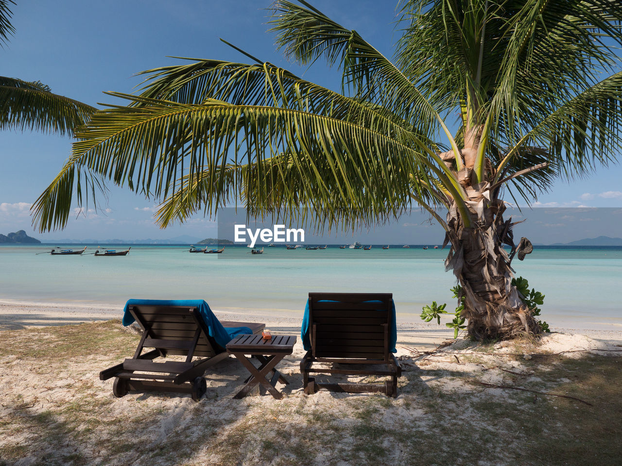 Scenic view of tropical beach