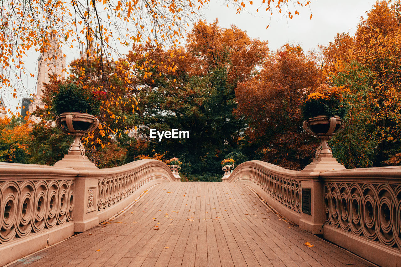 FOOTPATH AMIDST TREES DURING AUTUMN