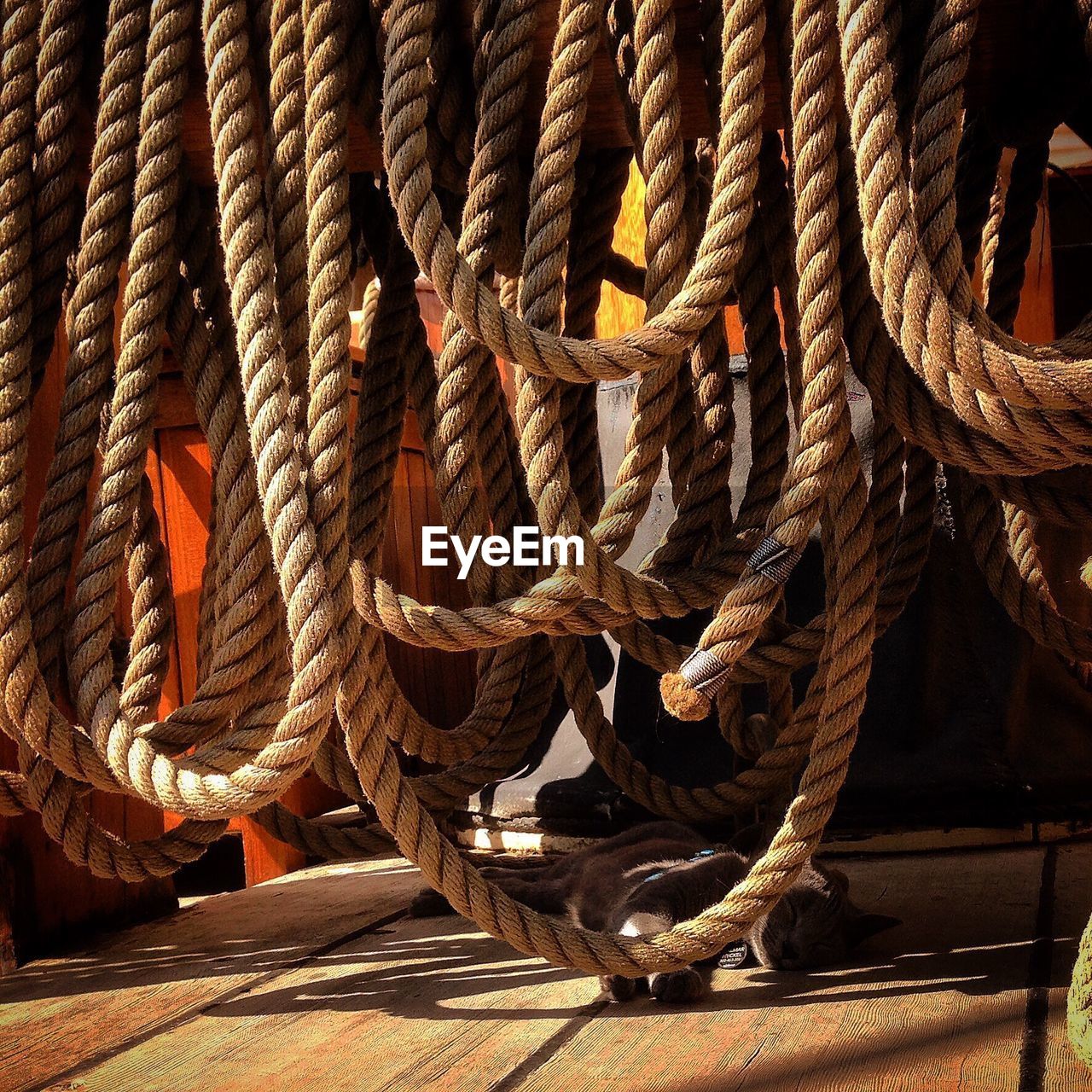 Ropes hanging in boat