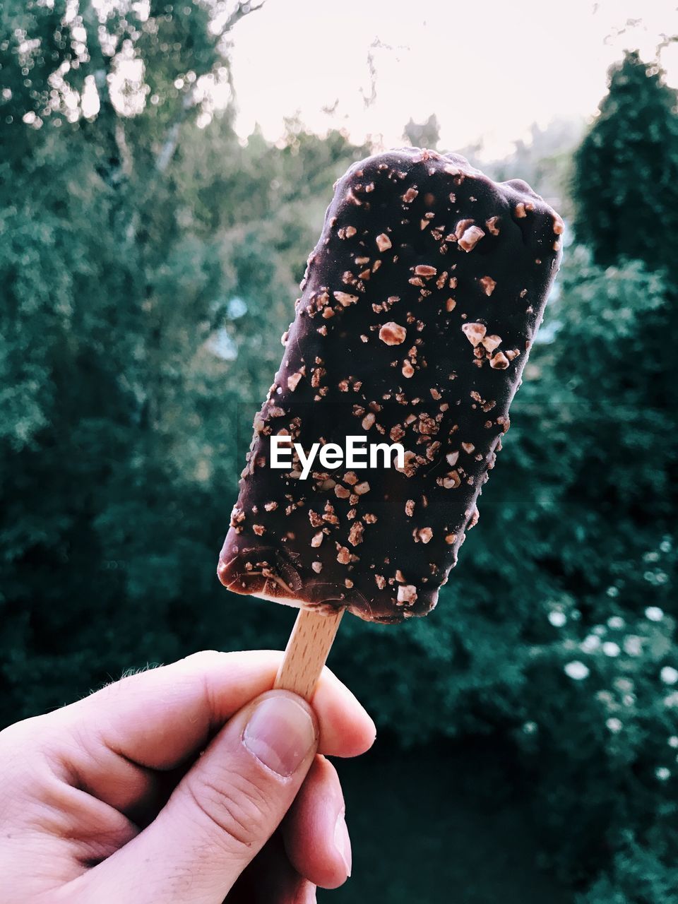 Cropped hand of man holding fresh chocolate ice cream with nuts against trees