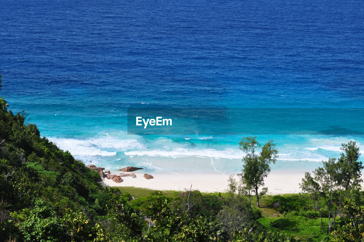 HIGH ANGLE VIEW OF SEA AND TREES ON SHORE