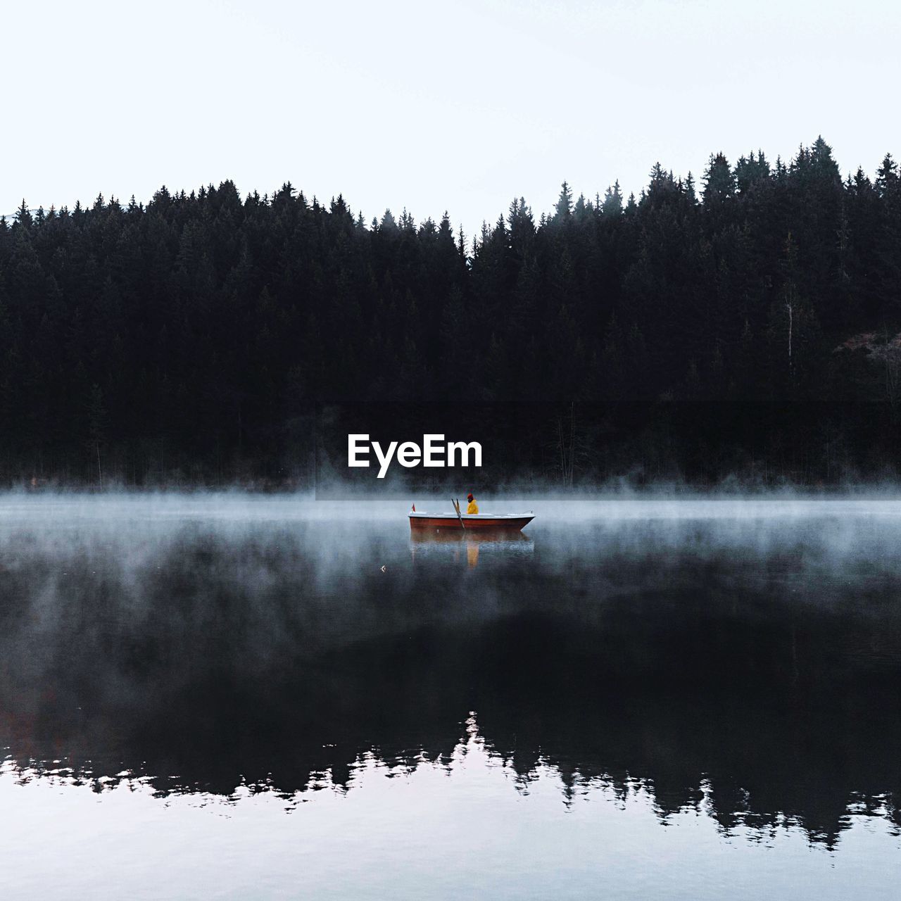 Man boating on lake against trees during foggy weather