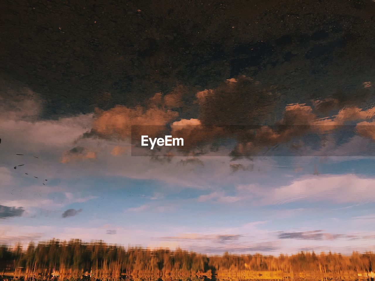 Cloudy sky reflecting in lake