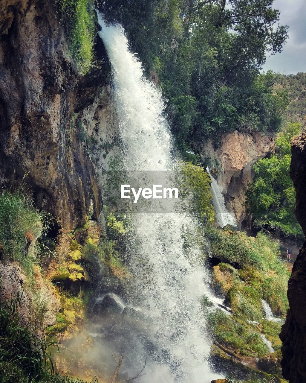 WATERFALL IN THE FOREST