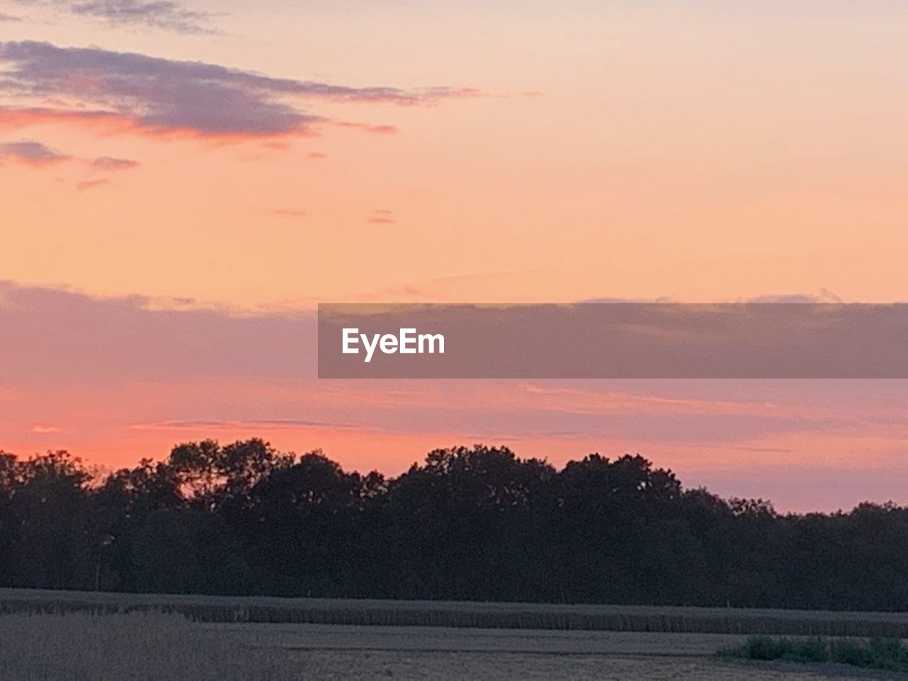 SCENIC VIEW OF SILHOUETTE TREES ON FIELD AGAINST ROMANTIC SKY