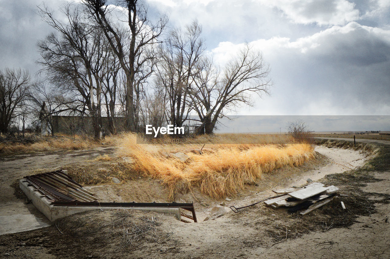 Irrigation ditch Rural Huntley Wyoming Bare Tree Cloud - Sky Day Ditch Outdoors Small Town