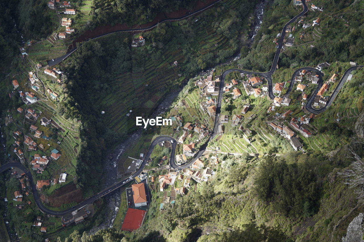 High angle view of trees growing in farm