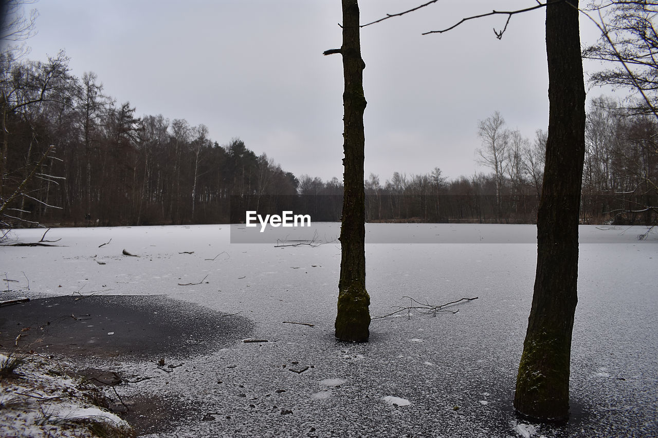 SCENIC VIEW OF SNOW COVERED LAND AND TREES AGAINST SKY