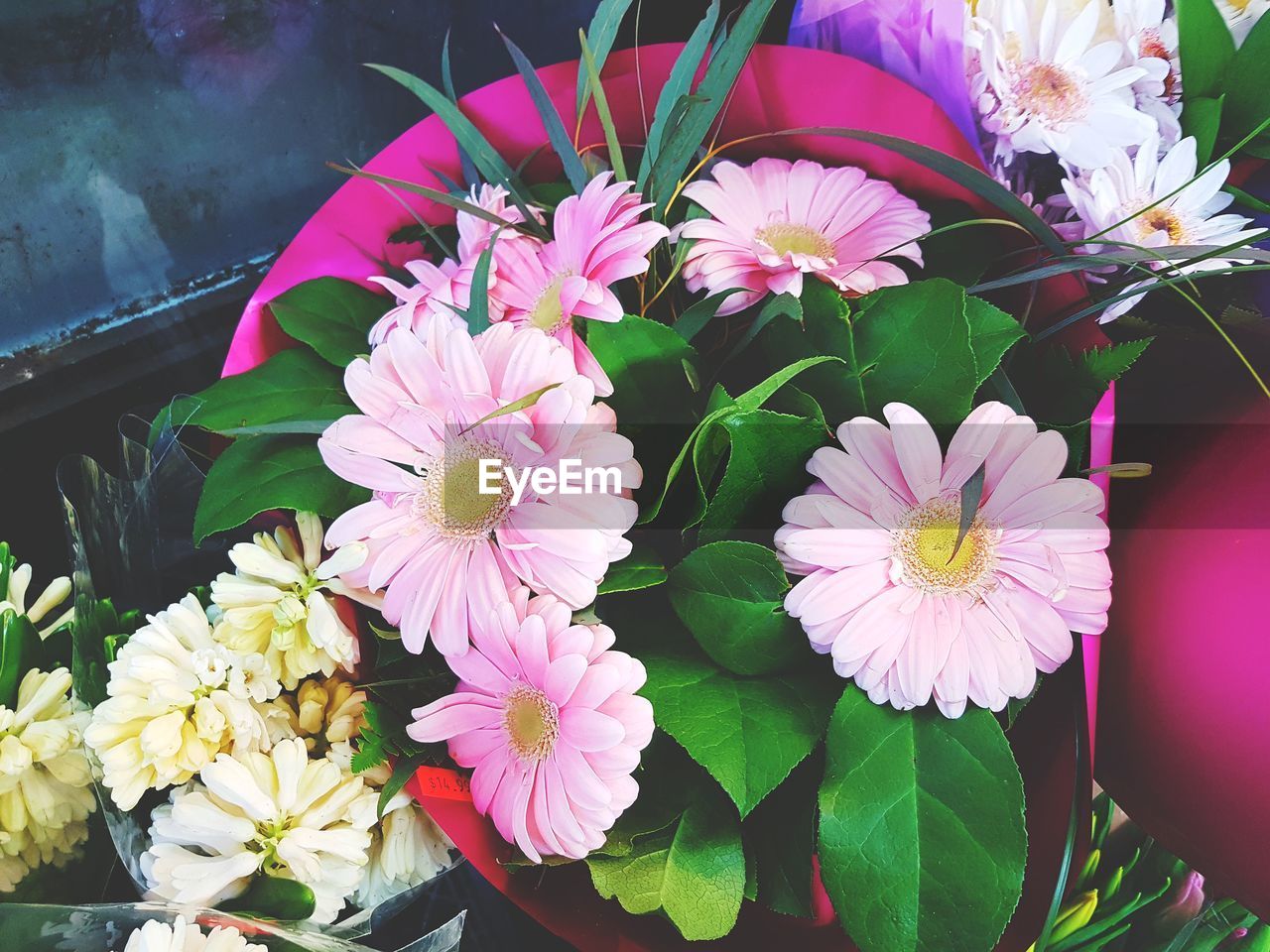 HIGH ANGLE VIEW OF PINK FLOWERS BLOOMING