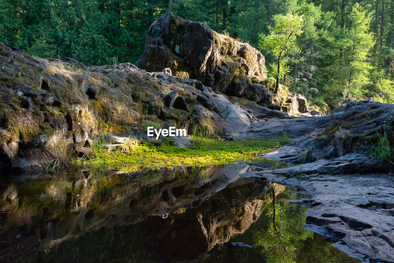 Stream flowing through rocks in forest