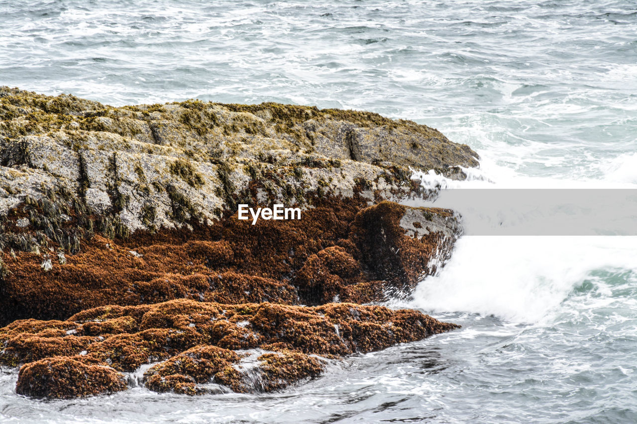  waves breaking a crossed seaweed covered rock formations 