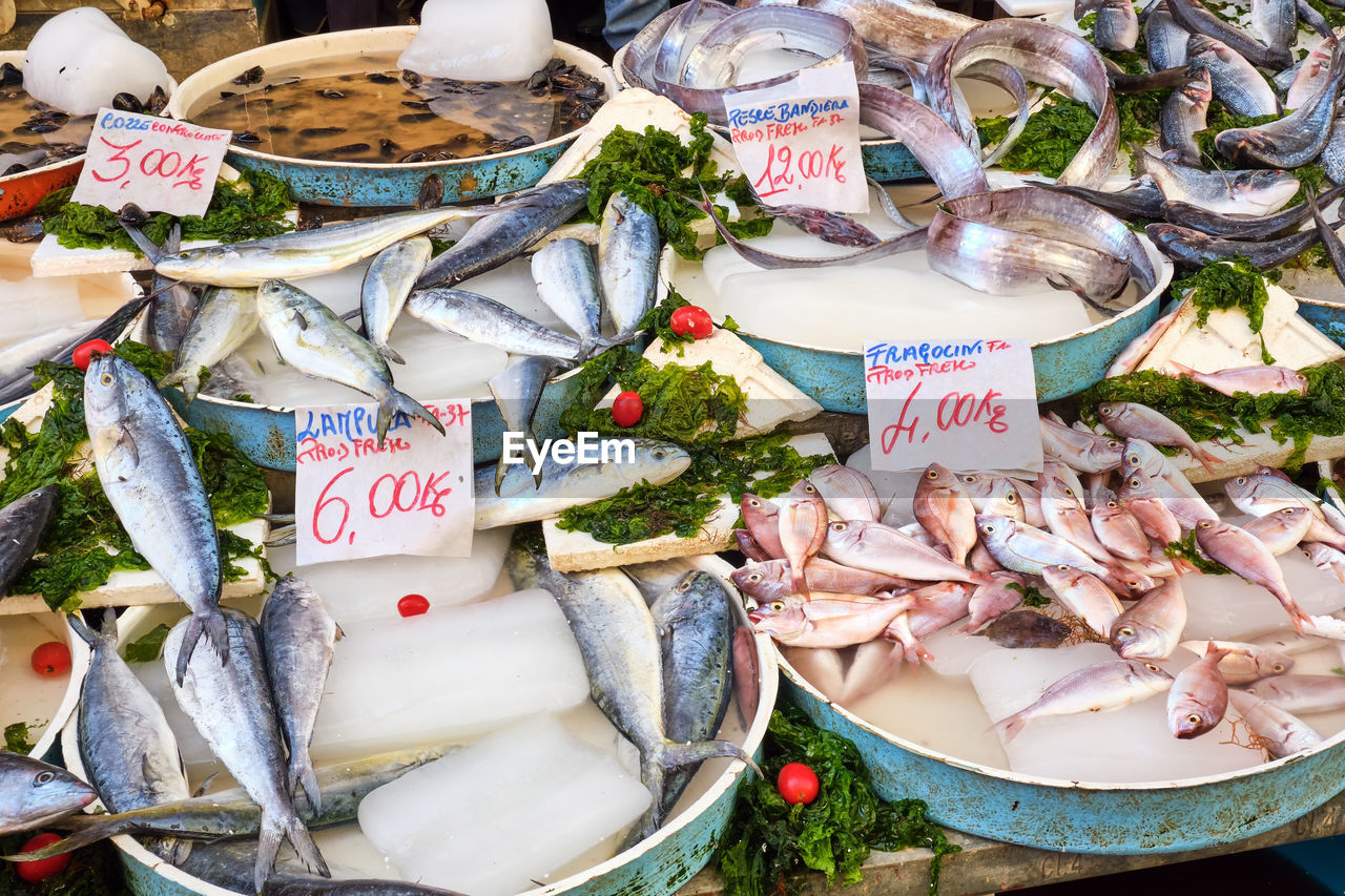Fish and seafood in bowls at a market in naples