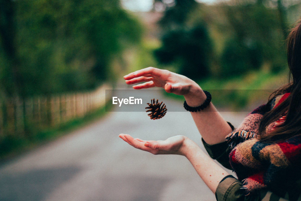 Close-up of woman holding pine cone