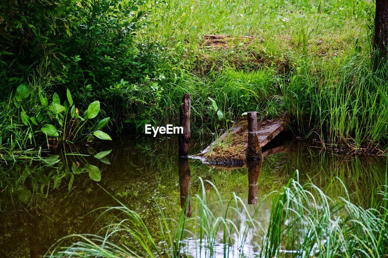 VIEW OF A LAKE