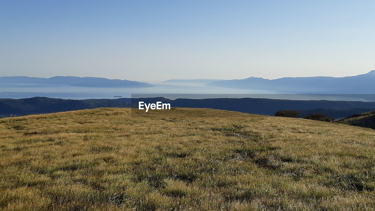 Scenic view of field against sea and clear sky