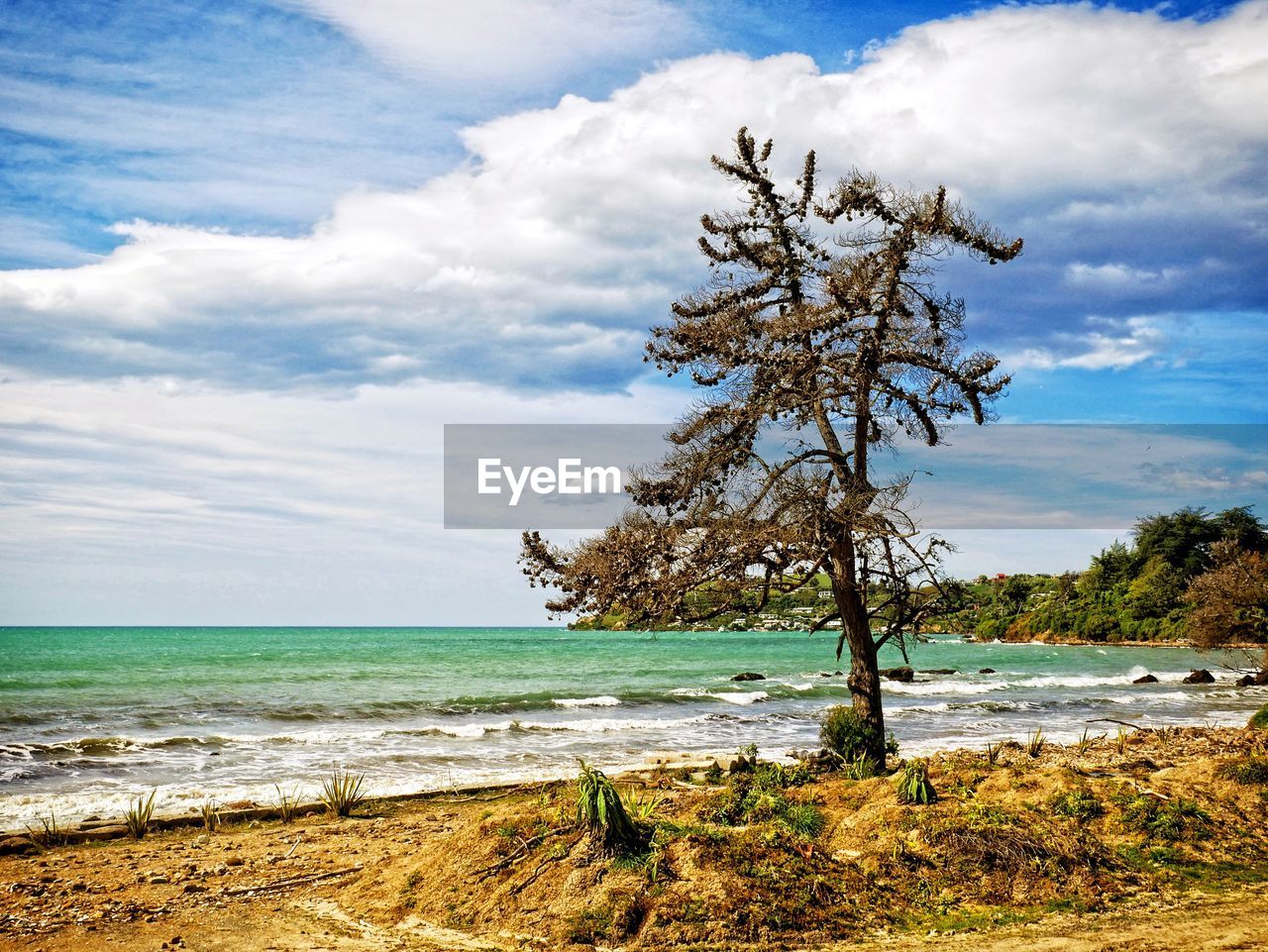 Scenic view of beach against sky