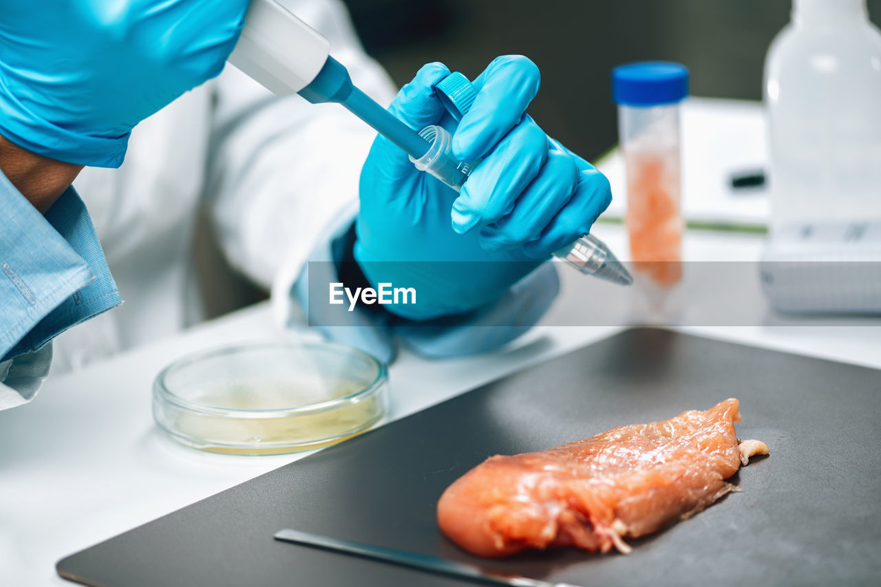 Antibiotics in poultry meat. quality control expert testing chicken meat sample