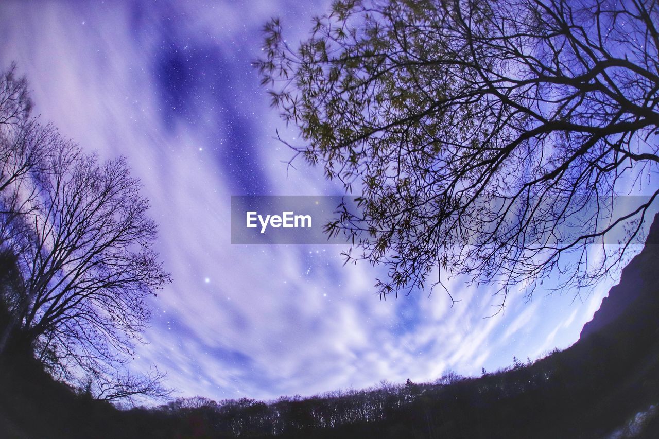 Low angle view of bare trees against cloudy sky