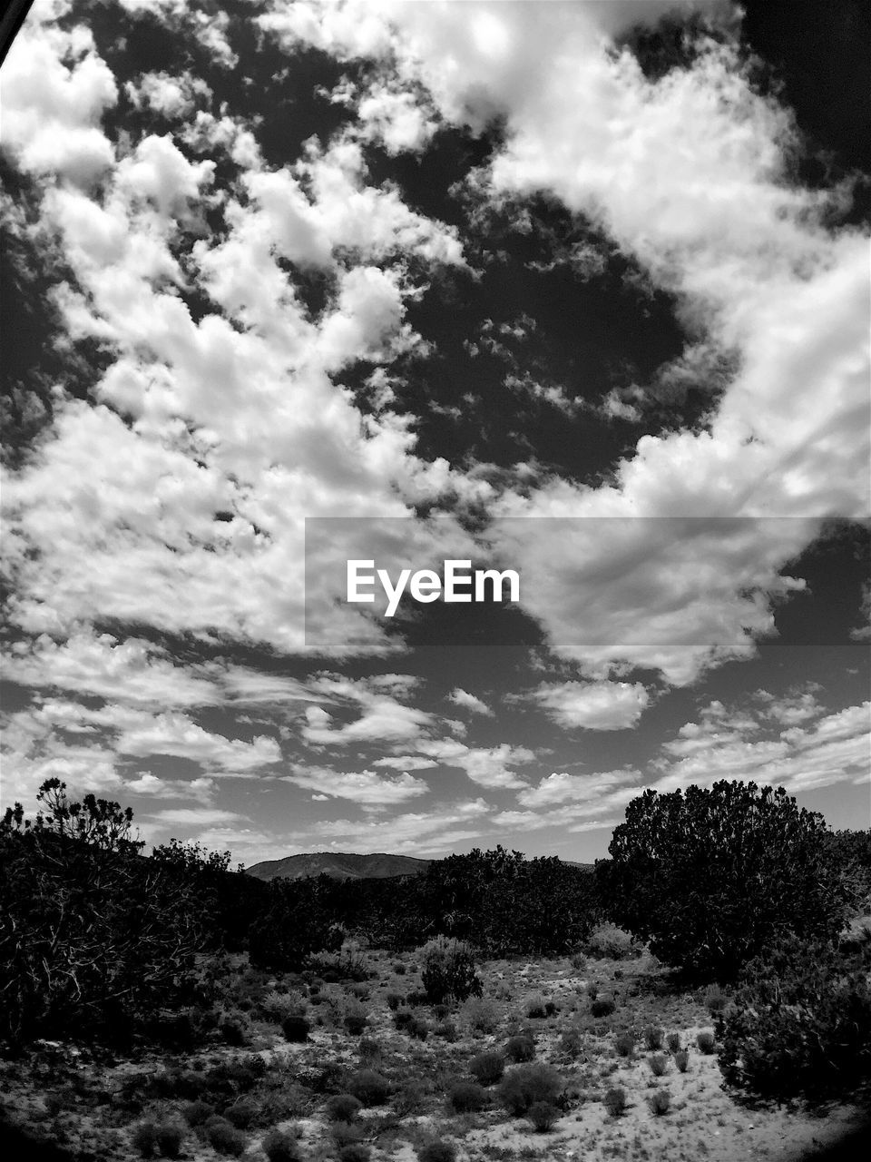 VIEW OF LANDSCAPE AGAINST CLOUDY SKY