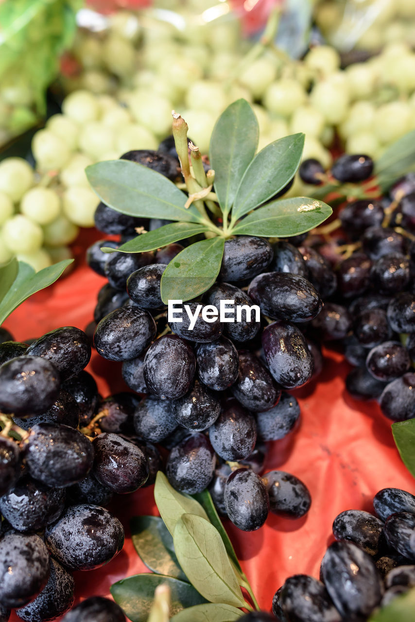 CLOSE-UP OF BERRIES GROWING ON LEAVES