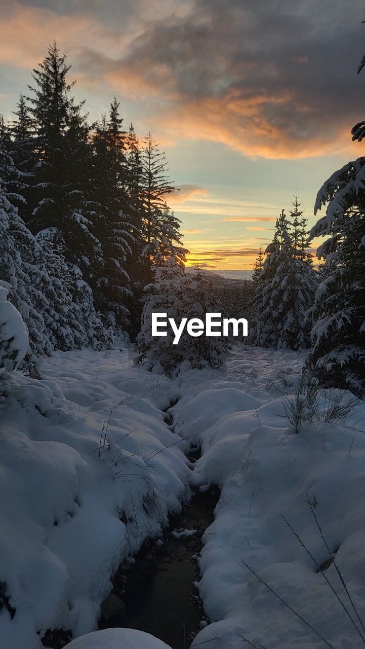 nature, tree, winter, snow, beauty in nature, sky, environment, cold temperature, plant, reflection, scenics - nature, sunset, no people, cloud, landscape, outdoors, screenshot, panoramic, land, mountain, tranquility, frozen, forest, non-urban scene, ice, water