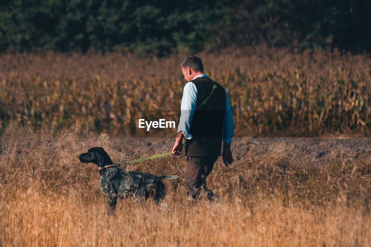 Rear view of man walking with dog on field