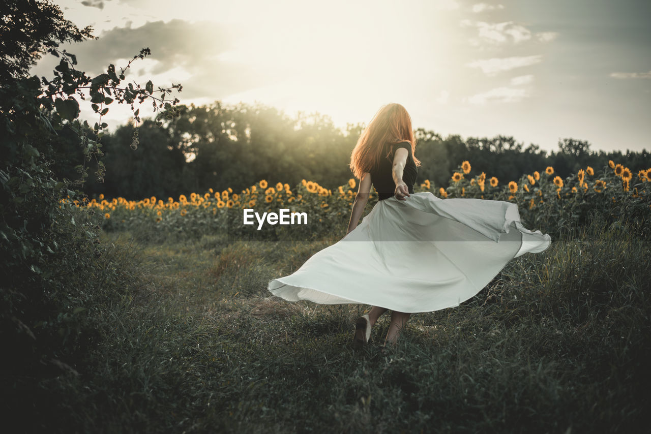 Rear view of woman walking on sunflower land