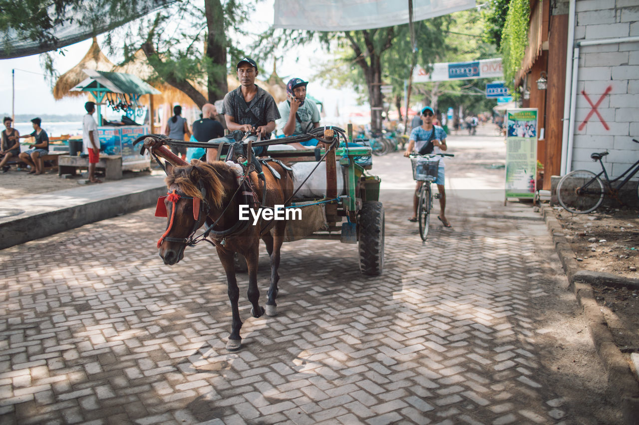 GROUP OF PEOPLE RIDING HORSE ON STREET