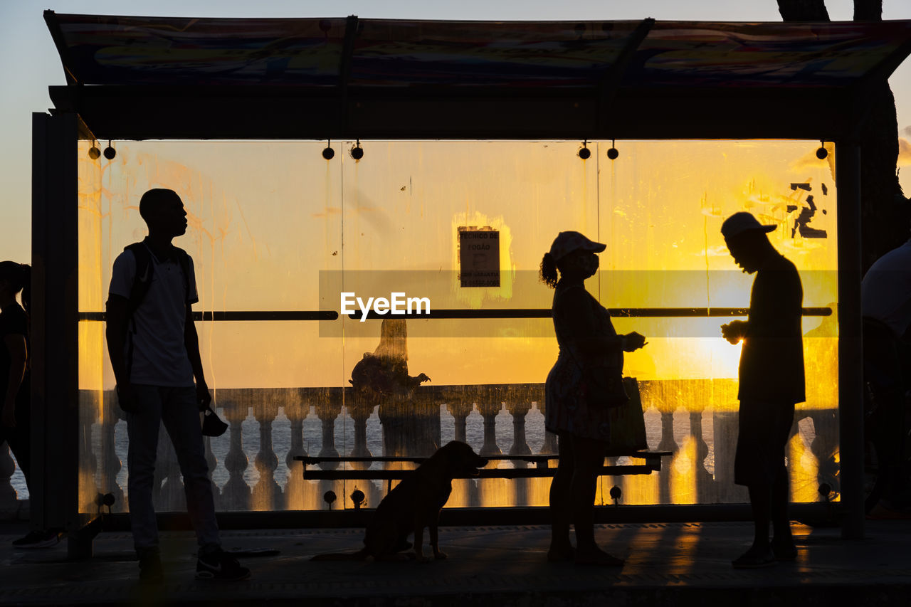 Silhouette at sunset of tree, bus stop and people walking on the edge of porto da barra.